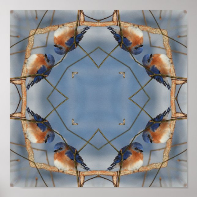 Bluebird Nature Abstrakt Kaleidoskop Art Poster (Vorne)