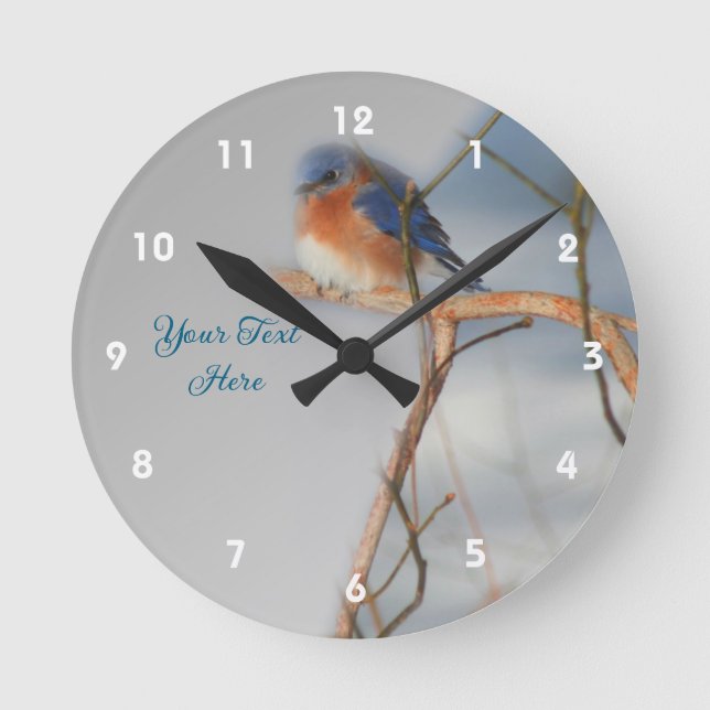 Bluebird Nature Personalisiert Runde Wanduhr (Vorderseite)