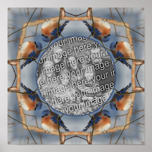 Bluebird Naturrahmen erstellen Sie Ihr eigenes Fot Poster (Vorne)