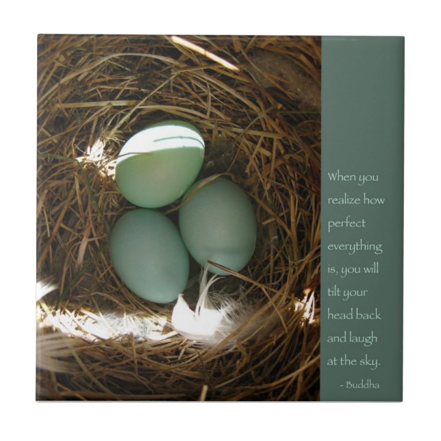 Bluebird Nest mit Buddha Quote Fliese (Vorderseite)