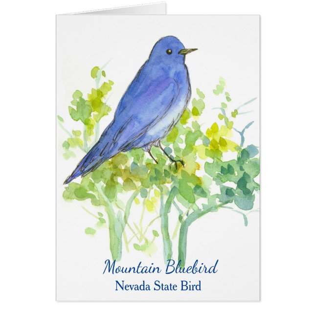Bluebird Nevada State Bird Blank (Devant)