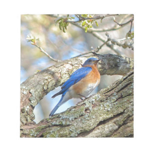Bluebird Notizblock