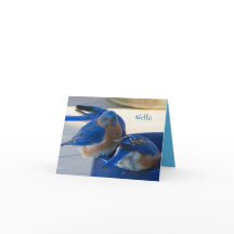 Bluebird of Happiness Card