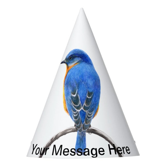 Bluebird Partyhütchen (Vorderseite)