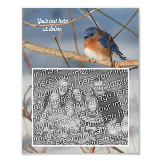 Bluebird Personalisiert Erstellen Sie Ihre eigenen Fotodruck (Vorne)