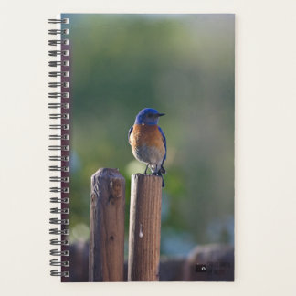 Bluebird Planner Planer