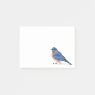 Bluebird Post-it Klebezettel
