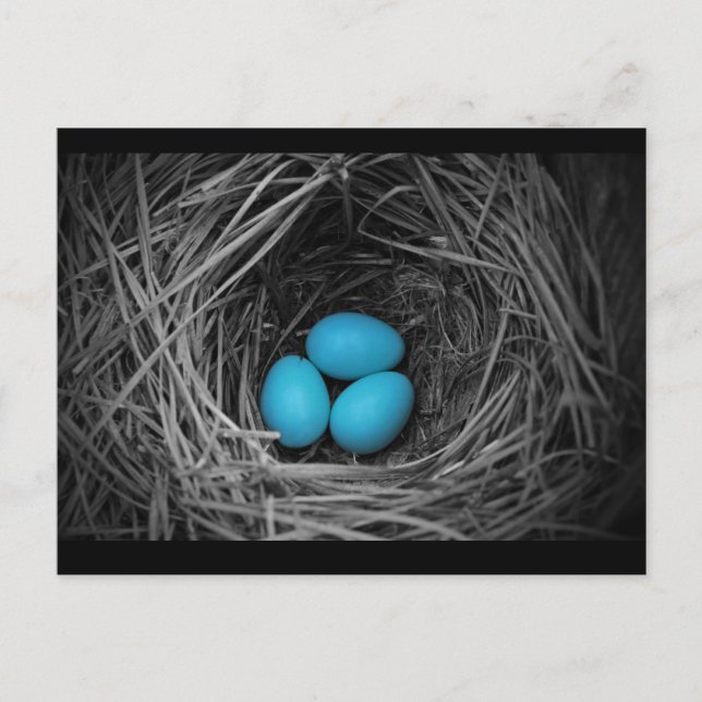 Bluebird Postkarte (Vorderseite)