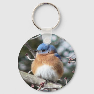 Bluebird Schlüsselanhänger
