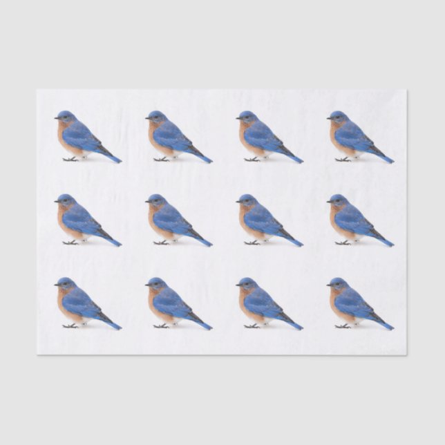 Bluebird Seidenpapier (Vorderseite)