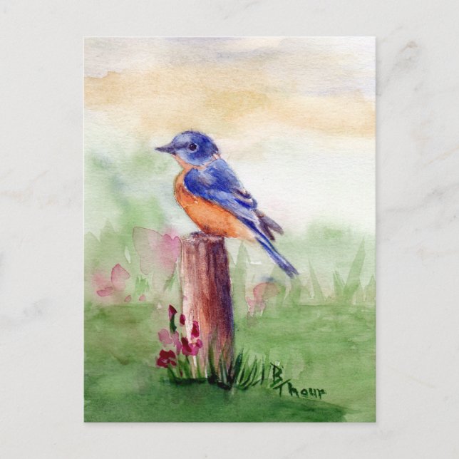Bluebird Song Postcard Postkarte (Vorderseite)