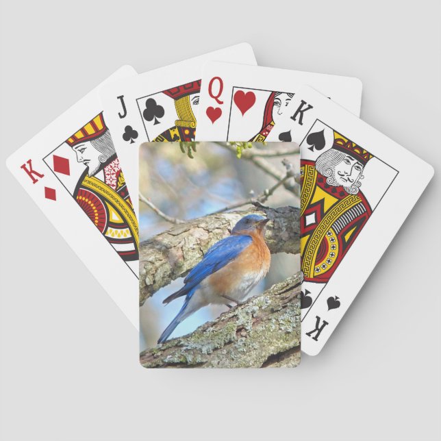 Bluebird Spielkarten (Rückseite)