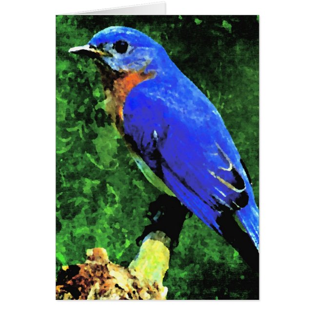 Bluebird Toutes les occasions (Devant)