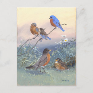 Bluebird und Robin Vintag Postkarte