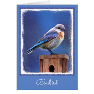 Bluebird (weibliche Malerei) - Original Bird Art