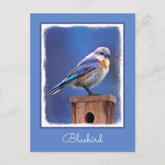 Bluebird (weibliche Malerei) - Original Bird Art Postkarte (Vorderseite)