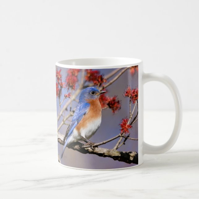 Bluebirds Coffee Mug III by BirdingCollectibles (Droite)
