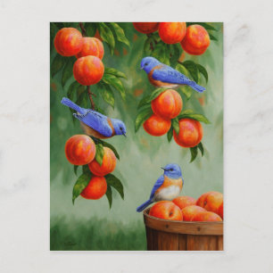 Bluebirds in einem Pfirsichbaum Postkarte