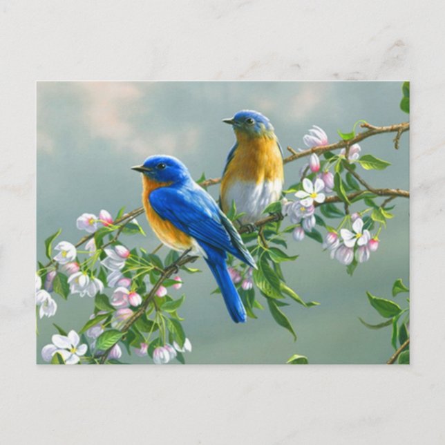 Bluebirds Postcard Postkarte (Vorderseite)