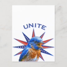 Bluebirds UNITE Postcard