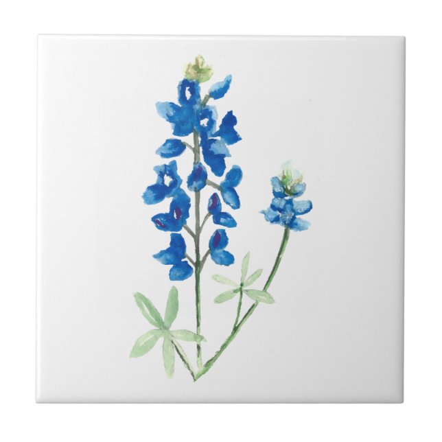 Bluebonnet 6 fliese (Vorderseite)