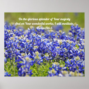 Bluebonnet Blume Scripting Poster