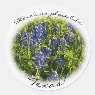 Bluebonnet "Es gibt keinen Ort wie Texas" Sticker