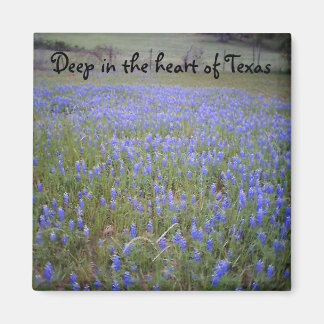 Bluebonnet Feldmagnet Magnet