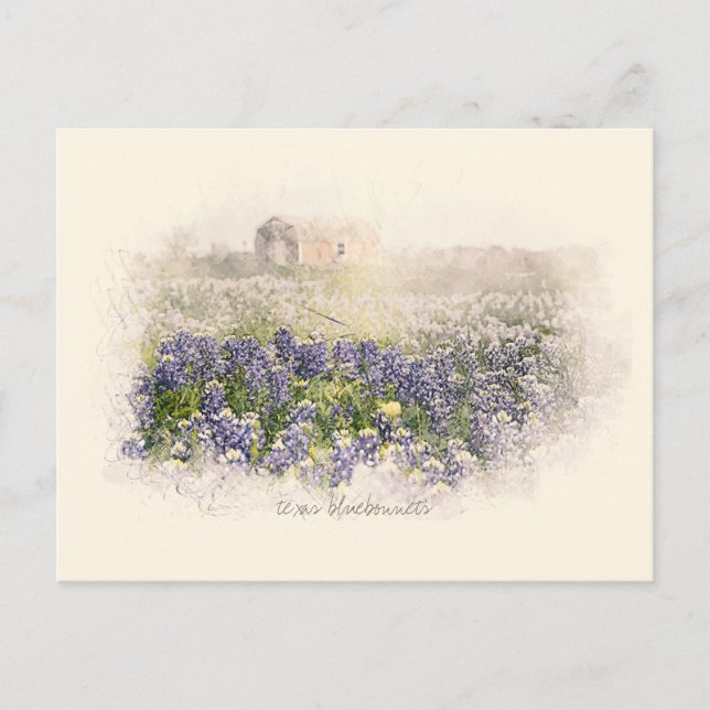 Bluebonnet Field Sketch Wasserfarbe Postkarte (Vorderseite)