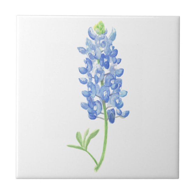 Bluebonnet Fliese (Vorderseite)