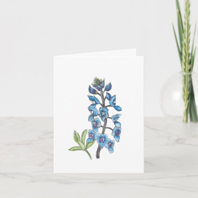 Bluebonnet in Linie und Wash 1 von 4 Leere (Vorderseite)