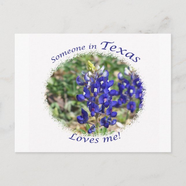 Bluebonnet "Jemand in Texas Lieben Me" Postkarte (Vorderseite)