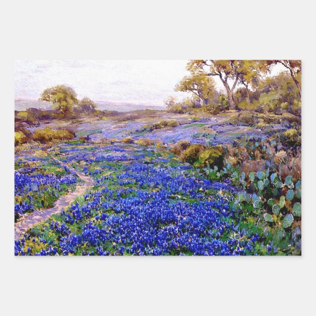 Bluebonnet Landscapes von Julian Onderdonk Geschenkpapier Set (Vorderseite 3)