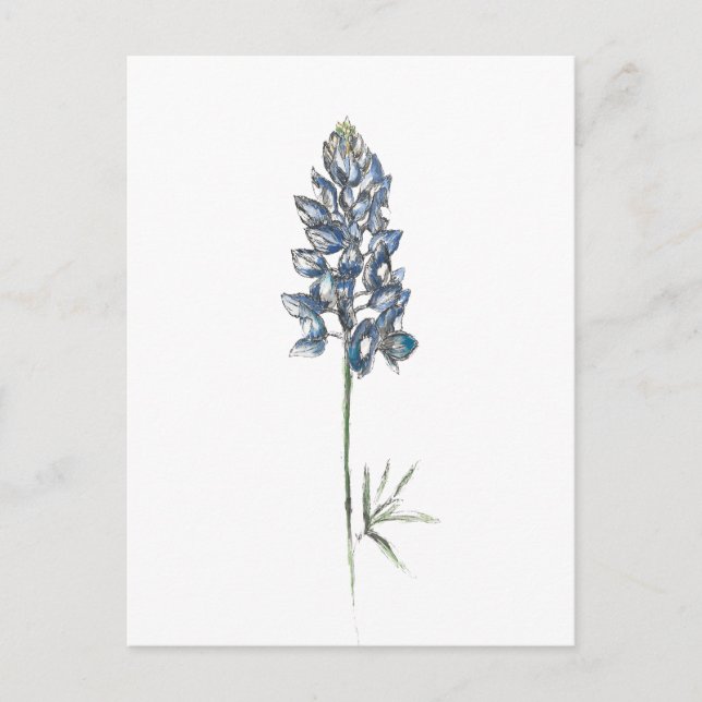 Bluebonnet Postkarte (Vorderseite)