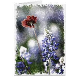 Bluebonnet-Skizze