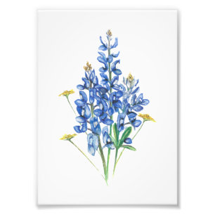 Bluebonnet und Wildblumen Fotodruck