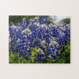 Bluebonnet-Wildblume-Puzzle