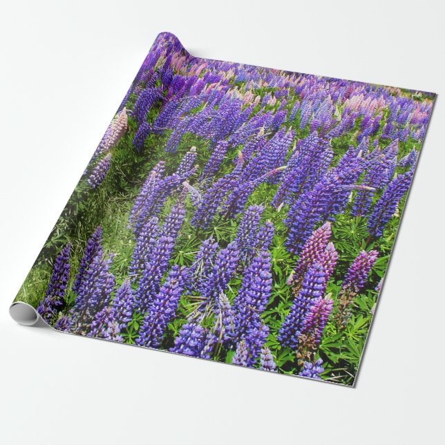 Bluebonnets Blue Floral Texas Texan Elegant Geschenkpapier (Ungerollt)