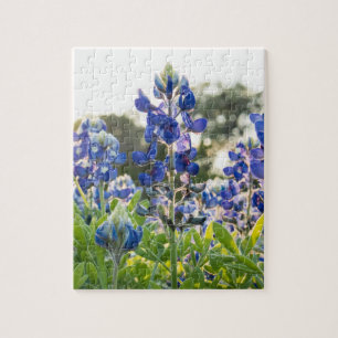 Bluebonnets Blue Flowers Texas Texan Floral