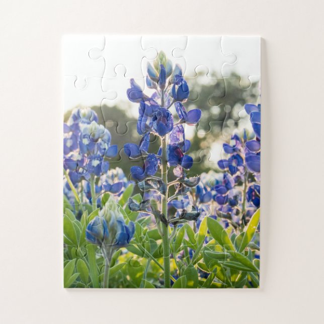 Bluebonnets Blue Flowers Texas Texan Floral (Vertikal)