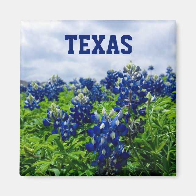 Bluebonnets Blue Flowers Texas Texan Floral Magnet (Vorne)