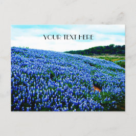 Bluebonnets Blue Flowers Texas texan Floral Postkarte