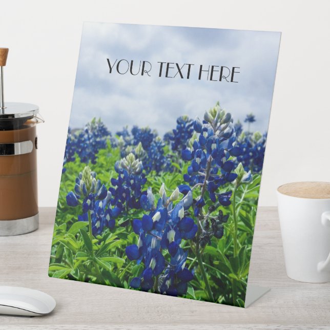 Bluebonnets Blue Flowers Texas texan Floral Sockelschild (In Situ)