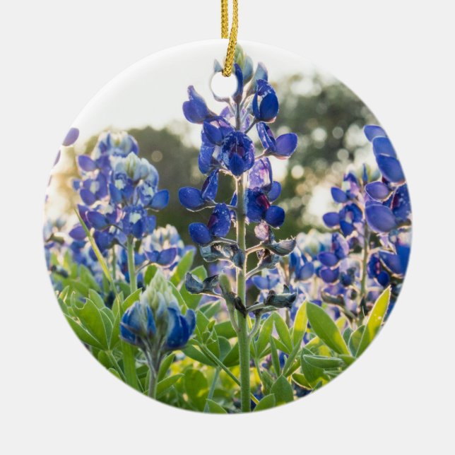 Bluebonnets Blue Flowers Texas Texan Lupine Keramik Ornament (Vorne)