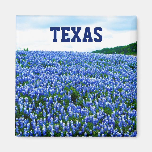 Bluebonnets Fleurs Bleues Texas Texan Aimant Flora (Devant)