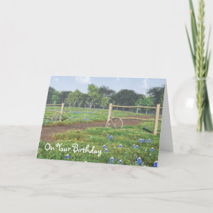 Bluebonnets Geburtskarte Karte