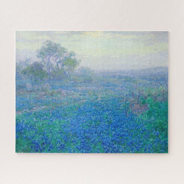 Bluebonnets in der Nähe von San Antonio, Texas von (Horizontal)