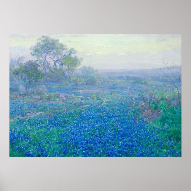 Bluebonnets in der Nähe von San Antonio, Texas von Poster (Vorne)