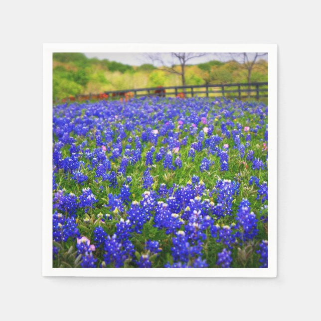 Bluebonnets in Texas Serviette (Vorderseite)