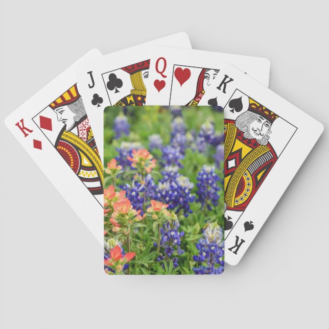 Bluebonnets & Indischer Malpinsel Texas Wildblumen Spielkarten (Rückseite)
